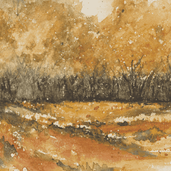 My Pretoria, Cindy Rawlings, watercolour on paper