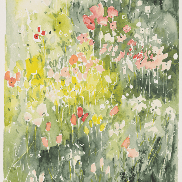 Field of Flowers, Cindy Rawlings, watercolour on paper